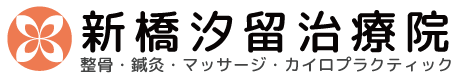 新橋汐留治療院