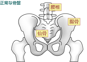 正常な骨盤