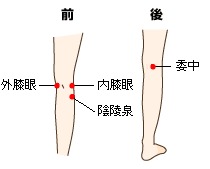 膝痛のツボ